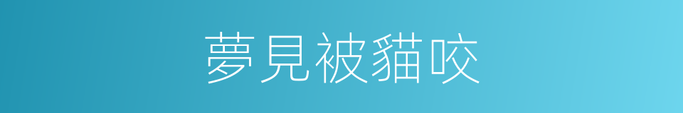 夢見被貓咬的同義詞