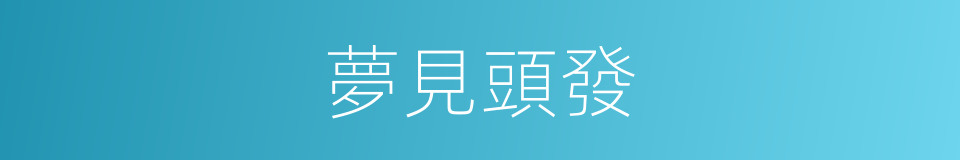 夢見頭發的同義詞