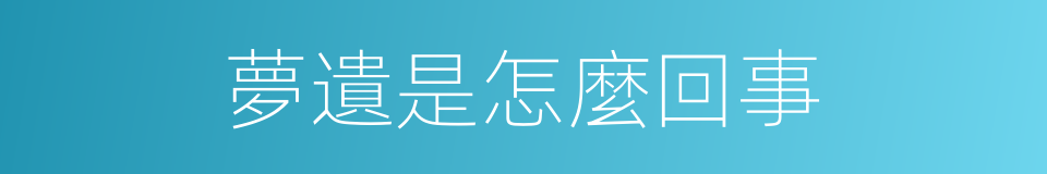夢遺是怎麼回事的同義詞