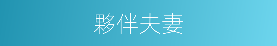 夥伴夫妻的同義詞
