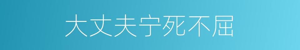 大丈夫宁死不屈的同义词