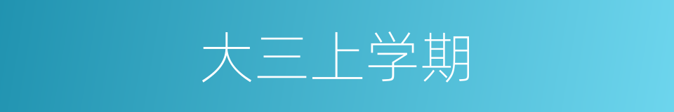 大三上学期的同义词
