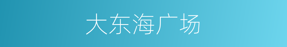 大东海广场的同义词