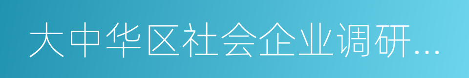 大中华区社会企业调研报告的同义词