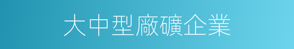 大中型廠礦企業的同義詞