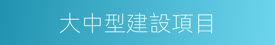 大中型建設項目的同義詞