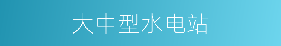 大中型水电站的同义词