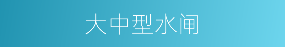 大中型水闸的同义词