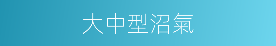 大中型沼氣的同義詞