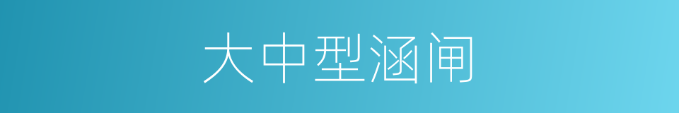 大中型涵闸的同义词