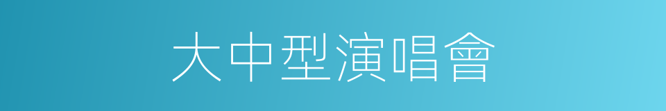 大中型演唱會的同義詞