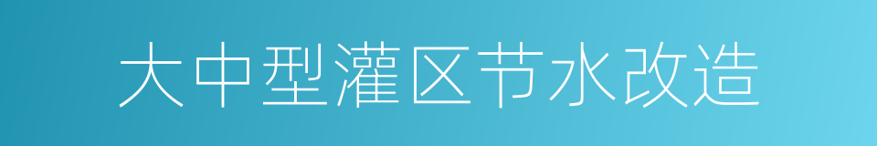 大中型灌区节水改造的同义词