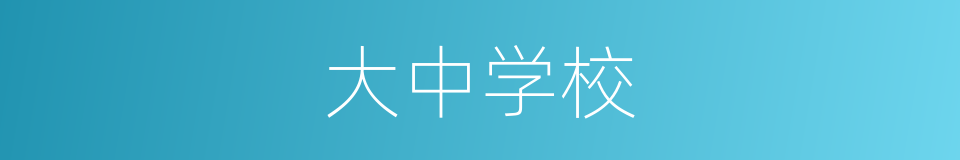大中学校的同义词