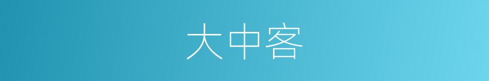 大中客的同义词
