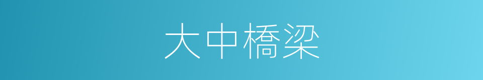 大中橋梁的同義詞