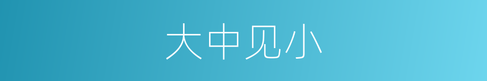 大中见小的同义词