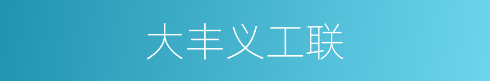 大丰义工联的同义词