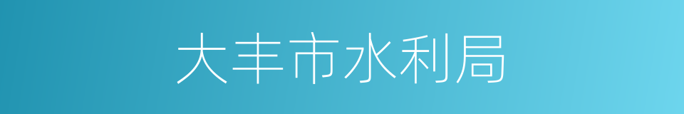 大丰市水利局的同义词