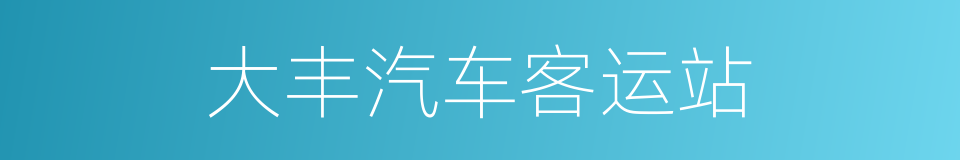 大丰汽车客运站的同义词