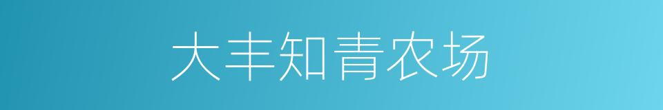 大丰知青农场的同义词