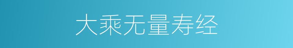 大乘无量寿经的同义词