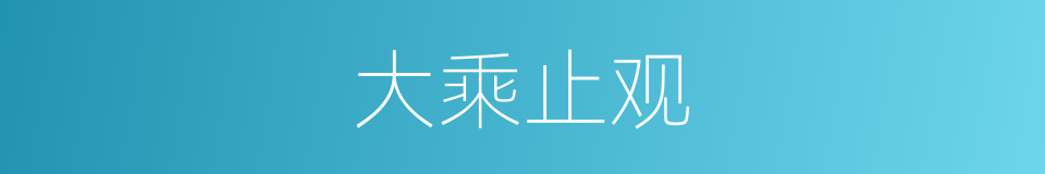 大乘止观的同义词