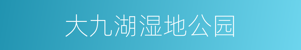 大九湖湿地公园的同义词