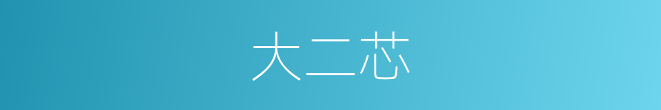 大二芯的同义词