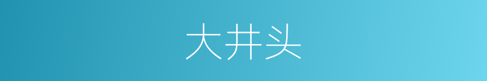 大井头的同义词