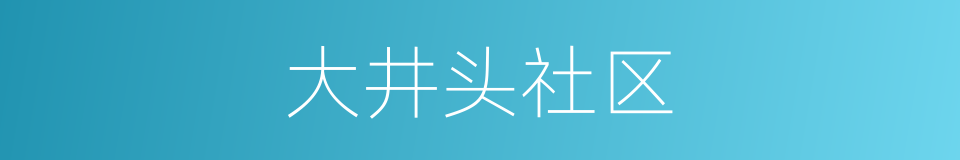 大井头社区的同义词