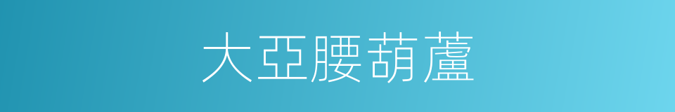 大亞腰葫蘆的同義詞