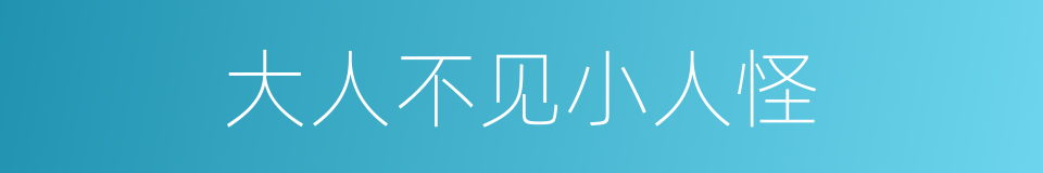 大人不见小人怪的意思