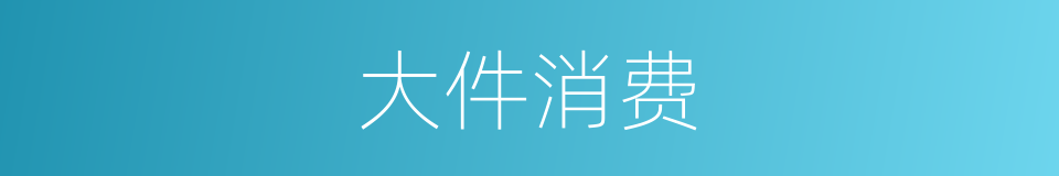 大件消费的同义词
