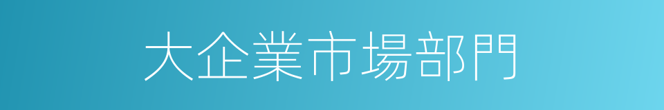 大企業市場部門的同義詞