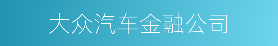 大众汽车金融公司的同义词