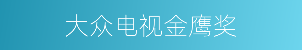 大众电视金鹰奖的同义词