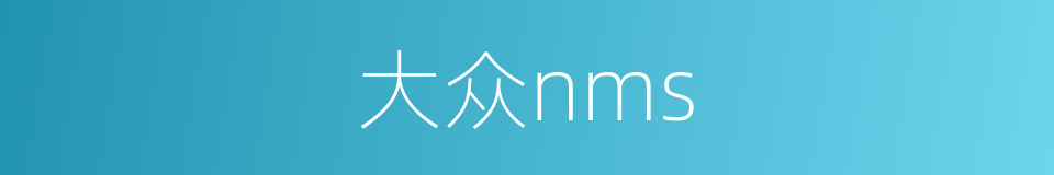 大众nms的同义词
