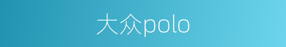 大众polo的同义词