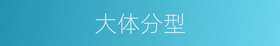 大体分型的意思