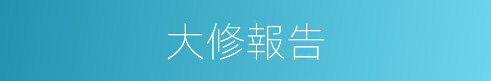 大修報告的同義詞