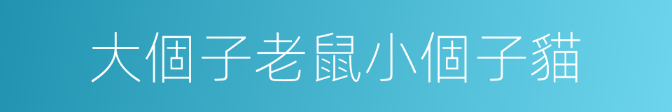 大個子老鼠小個子貓的同義詞