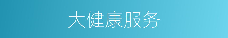 大健康服务的同义词
