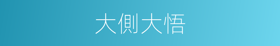 大側大悟的意思