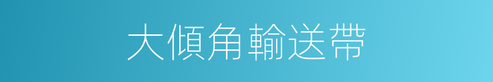 大傾角輸送帶的同義詞