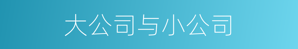 大公司与小公司的同义词