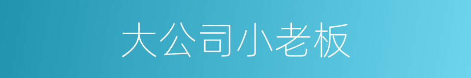 大公司小老板的同义词
