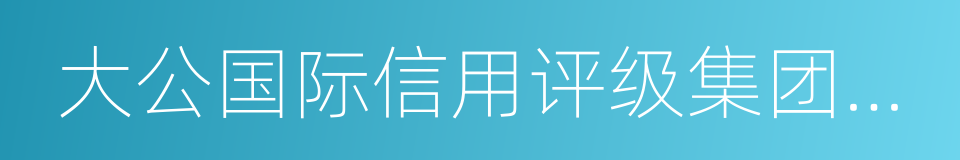 大公国际信用评级集团有限公司的同义词