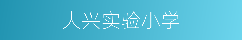 大兴实验小学的同义词