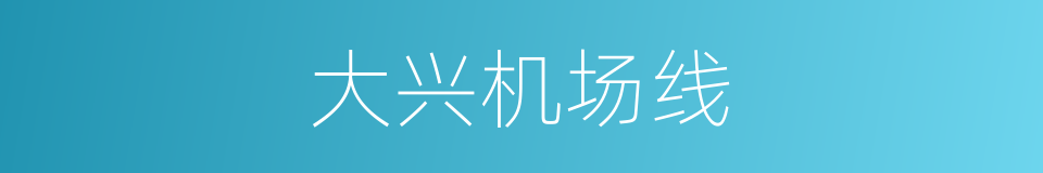 大兴机场线的同义词