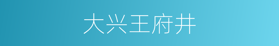 大兴王府井的同义词